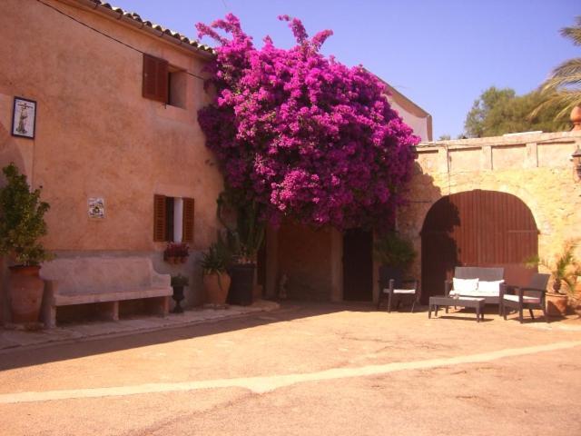 Finca Can Rotger Ca's Concos des Cavaller Exterior foto